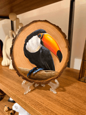 Tucano-toco
