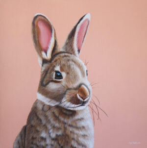 Coelho (70x70cm)