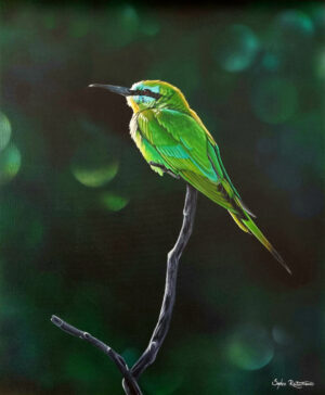 Bee Eater (50x60cm)